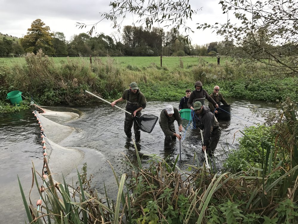 Modern Fisheries Management
