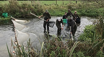 Electric Fishing