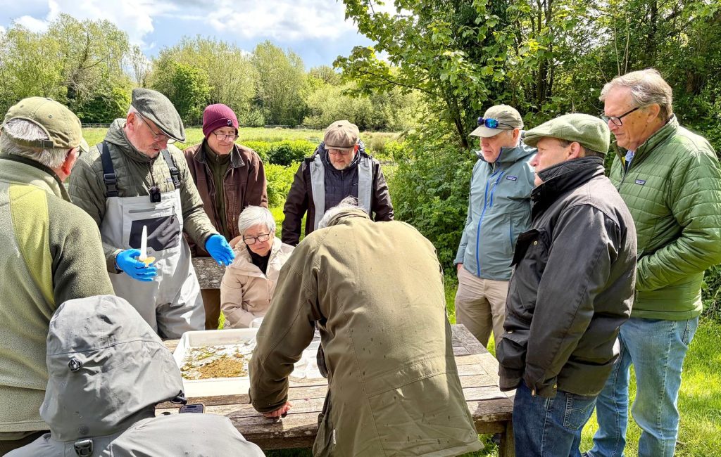 Ttrout Tactics workshop 2026 NG